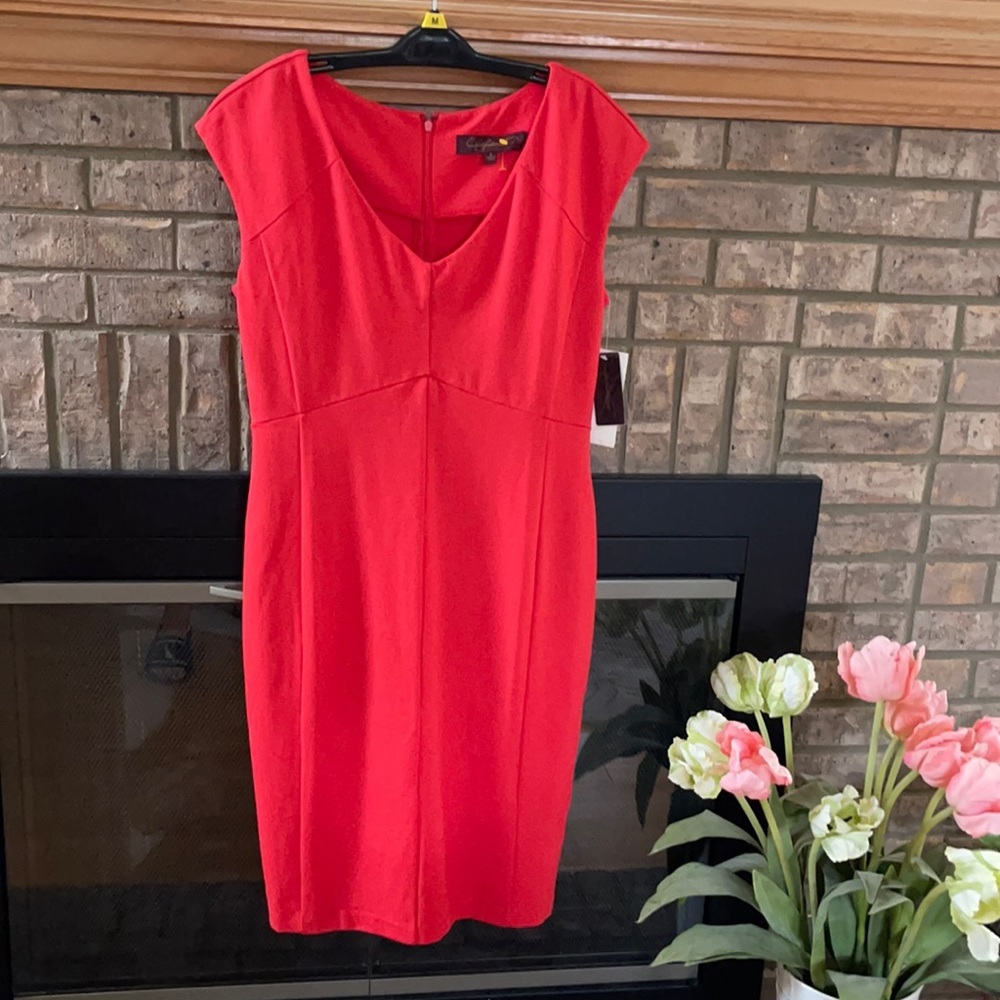 Hal Rubinstein Fitted Seamed Dress Size M